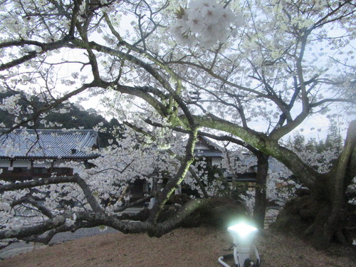 f0231709_22431329.jpg