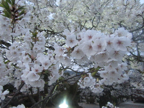 f0231709_22455962.jpg