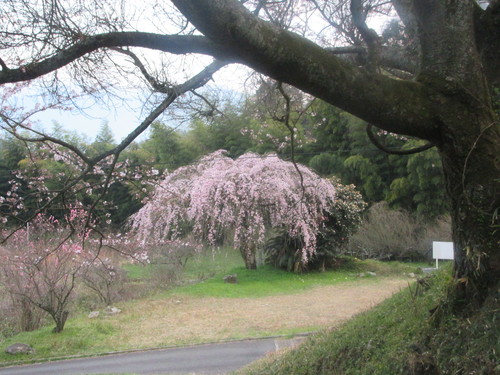 f0231709_23445268.jpg