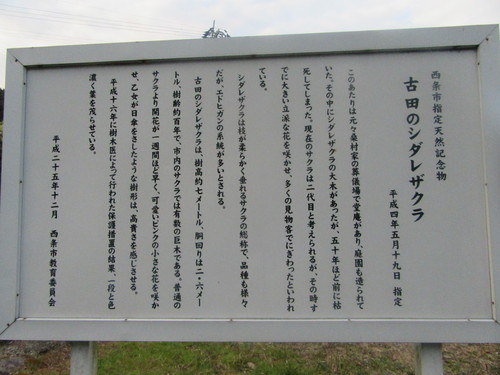 f0231709_234682.jpg