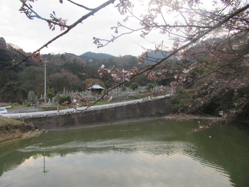 f0231709_2352156.jpg
