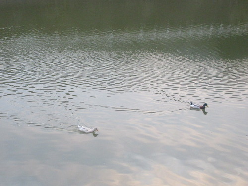 f0231709_23535189.jpg