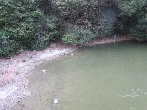 f0231709_23555848.jpg