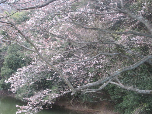 f0231709_23562125.jpg