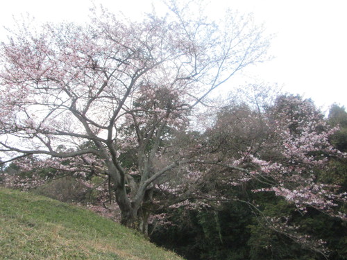 f0231709_23565534.jpg