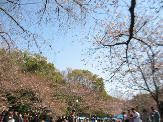 c0062511_21143427.jpg