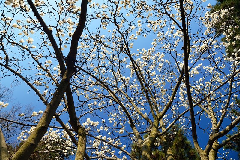 f0032011_19542420.jpg