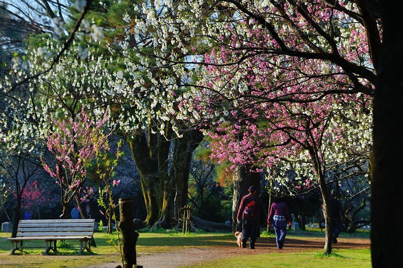 f0032011_19575441.jpg