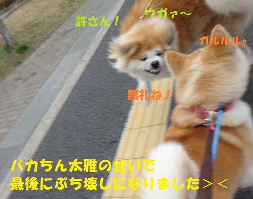 f0121712_14081304.jpg