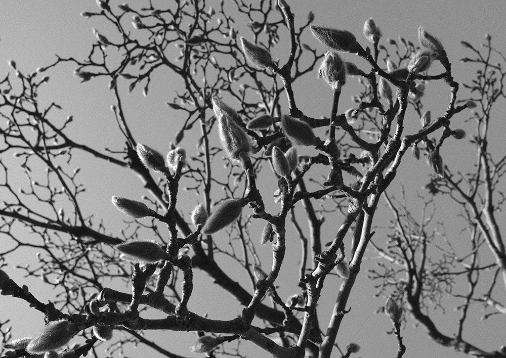 c0082715_16262798.jpg