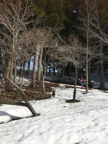 c0114121_0143977.jpg