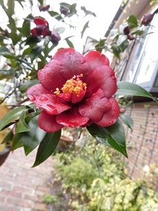 c0204121_01324450.jpg
