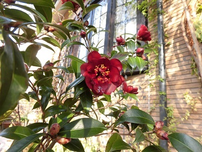 c0204121_01334330.jpg
