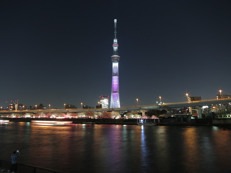 d0172227_1612829.jpg