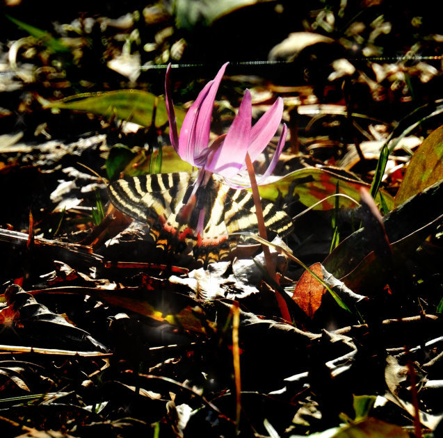 a0248728_18101660.jpg