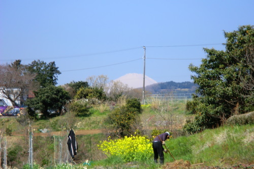b0137932_15384274.jpg
