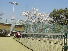 c0147935_21022995.jpg
