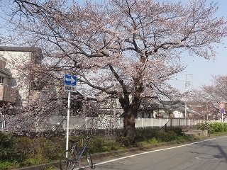 c0147935_21085553.jpg