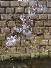 c0147935_21090185.jpg