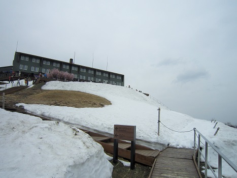 b0177436_22563499.jpg