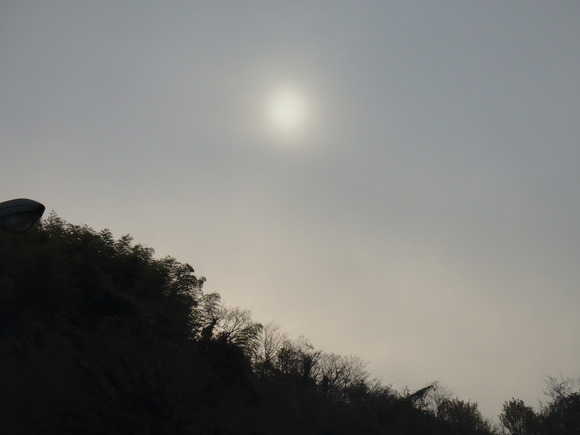 a0054240_21293057.jpg