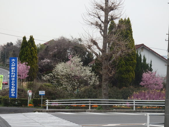 a0054240_21315733.jpg