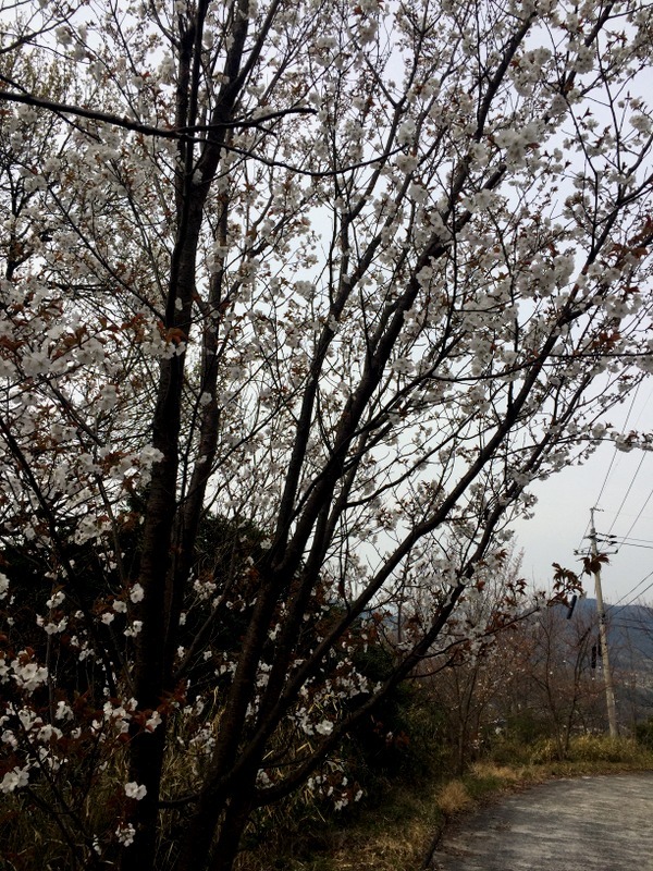 b0057140_20493753.jpg