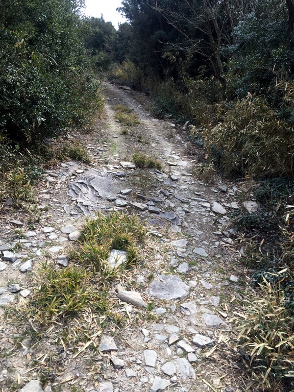 b0057140_20540868.jpg