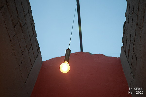 a0193741_111523100.jpg