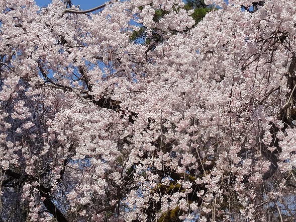 b0299042_15344897.jpg