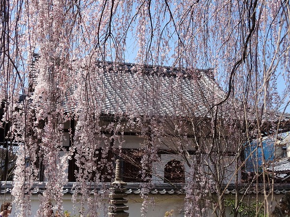 b0299042_15352626.jpg