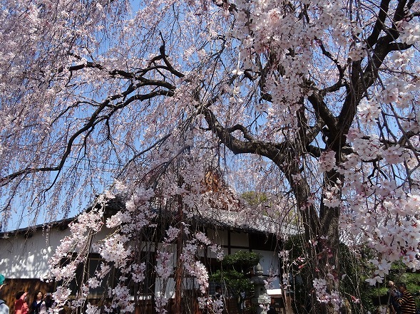 b0299042_15360788.jpg