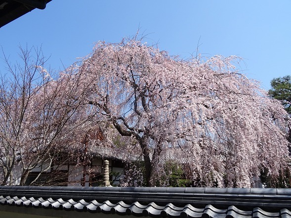 b0299042_15362820.jpg