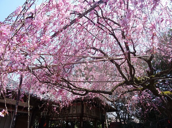 b0299042_17081392.jpg