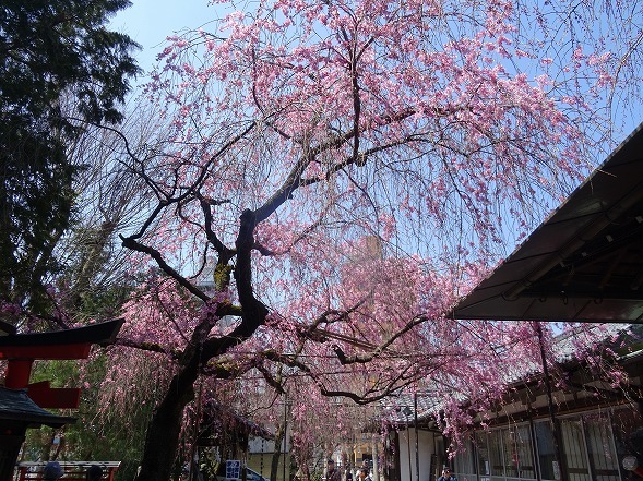 b0299042_17082671.jpg