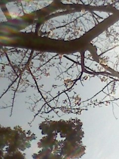 e0150843_0461891.jpg