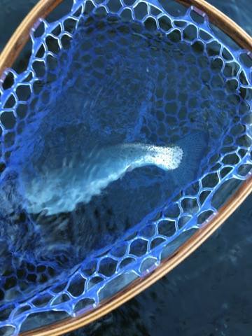 e0202845_15212820.jpg