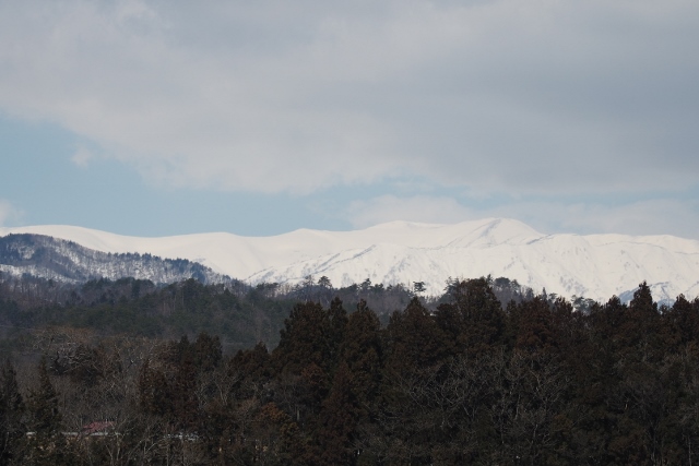 b0189948_21331256.jpg