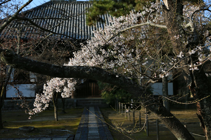 a0120949_639932.jpg