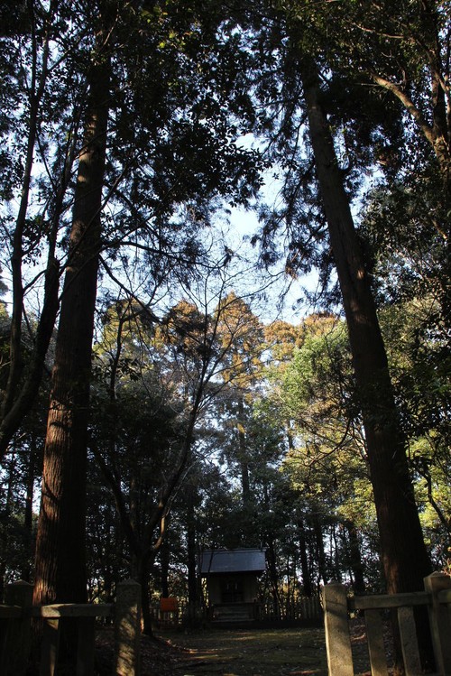 c0011649_1129181.jpg