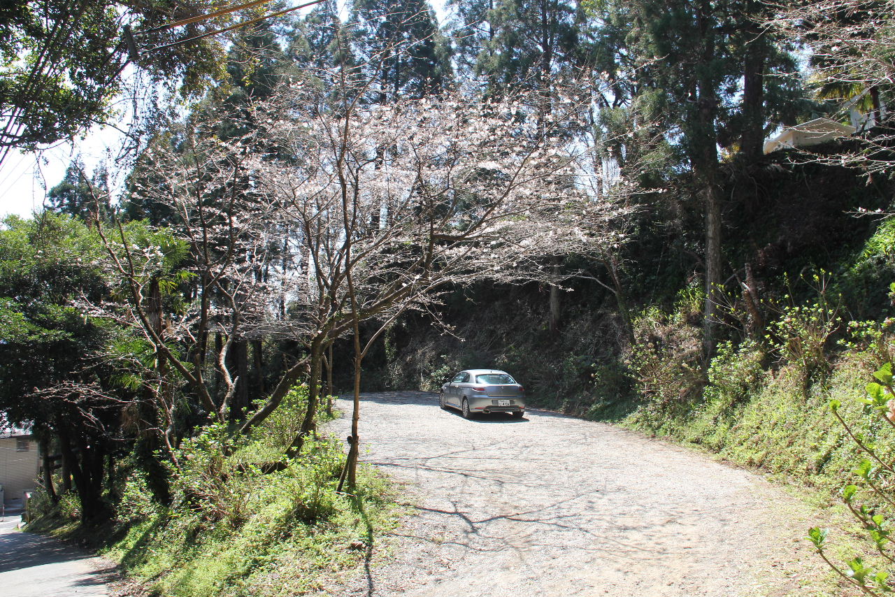 c0011649_1203039.jpg