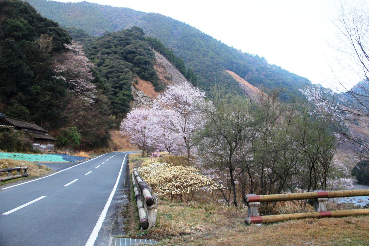 c0011649_21552618.jpg