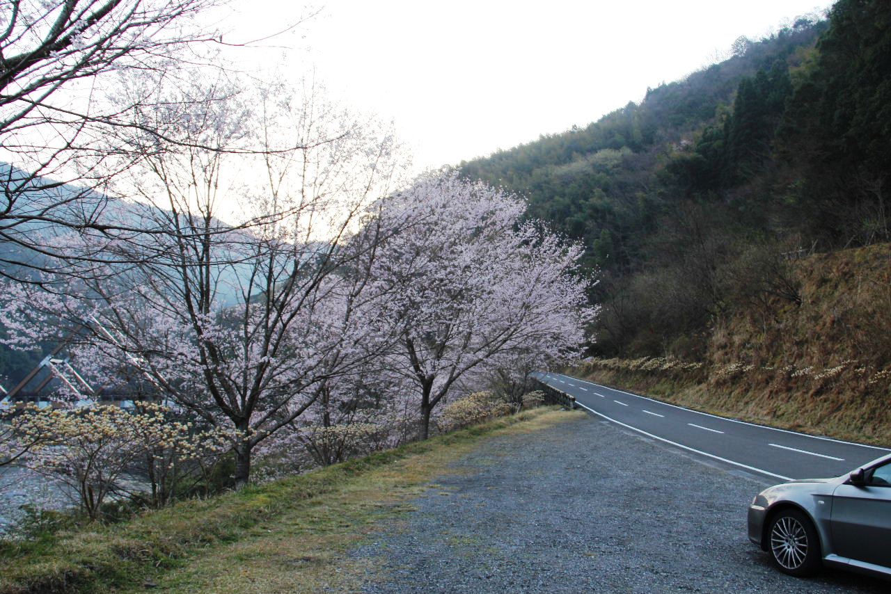 c0011649_21562465.jpg