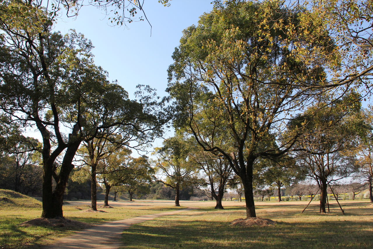 c0011649_2213636.jpg