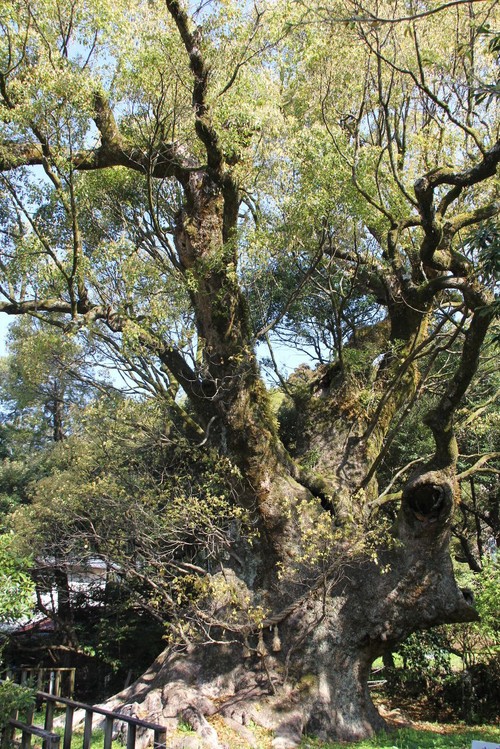 c0011649_22175043.jpg