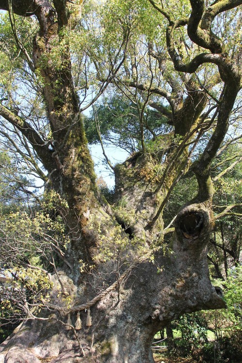 c0011649_2219330.jpg