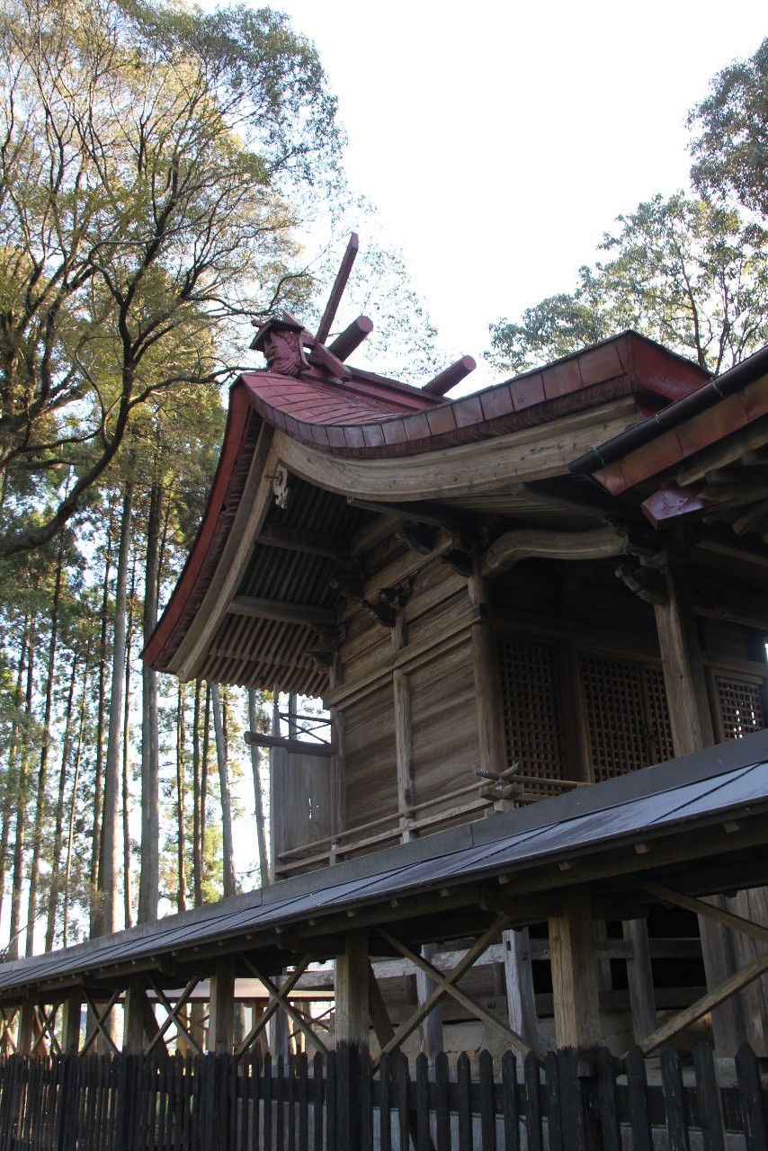 c0011649_2243419.jpg