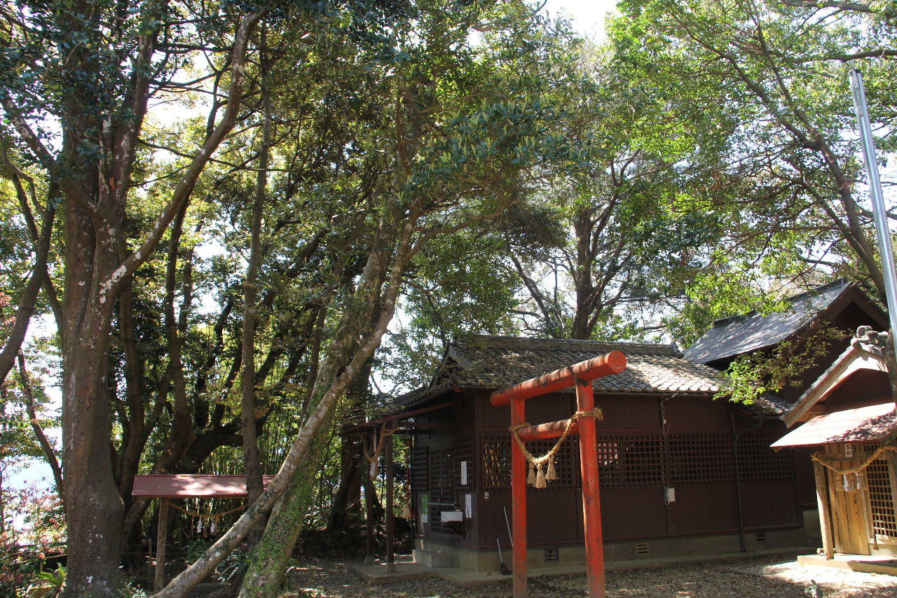c0011649_5544672.jpg