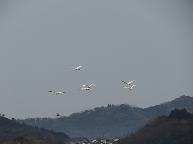 f0214649_05201847.jpg