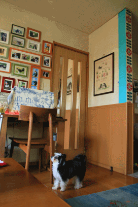 c0145250_09180581.gif